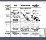 минхо — ИИ-персонаж Yazme
