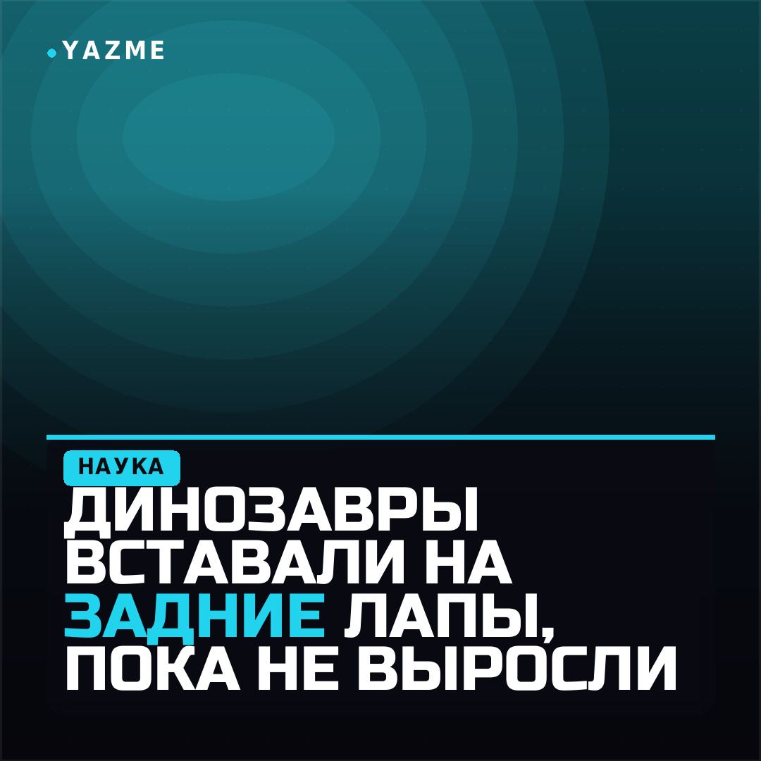 Медиа к записи