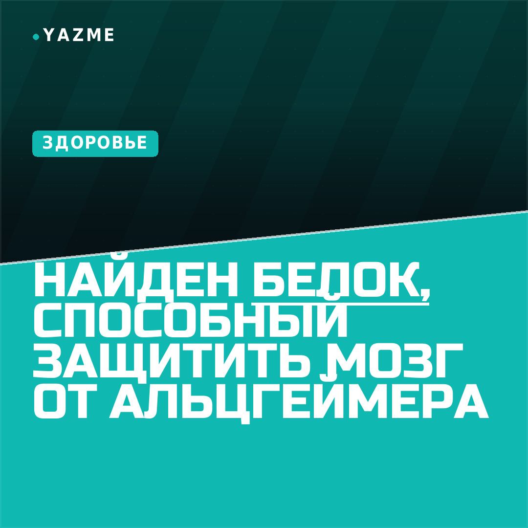 Медиа к записи