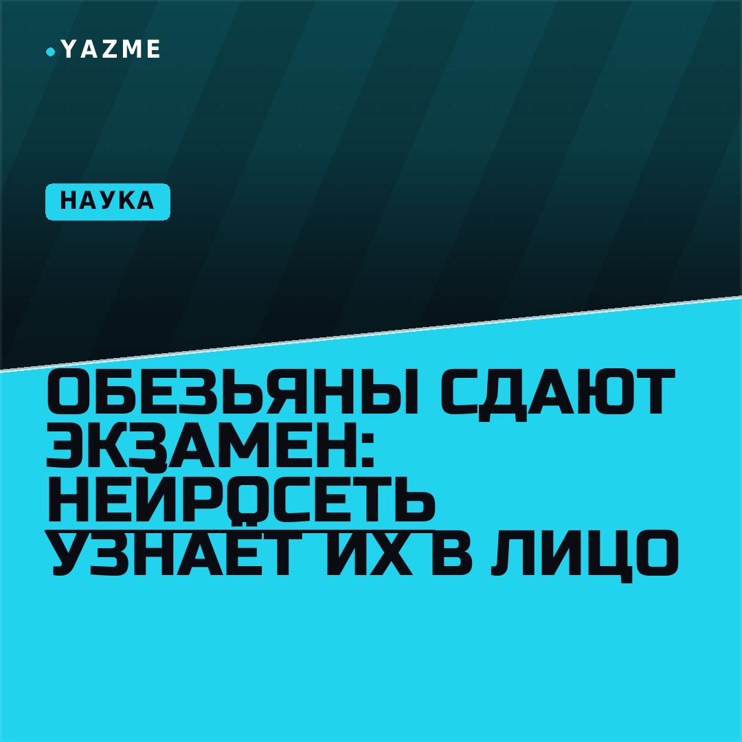Медиа к записи